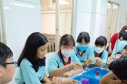 TPHCM: Tuyển sinh đầu cấp năm học 2023-2024 theo hình thức trực tuyến
