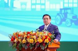 Chuyển từ tìm kiếm sang nghiên cứu thị trường để hướng tới 'nông nghiệp đặt hàng'
