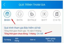 VssID thêm tính năng thông báo thời gian chậm đóng bảo hiểm xã hội