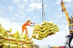 Nhiều cơ hội cho thực phẩm Việt tiếp cận thị trường Malaysia