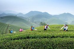 Đây là thời điểm quan trọng để thay đổi tư duy về du lịch nông nghiệp, nông thôn