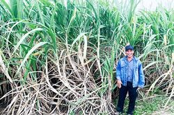 Ông Phan Kiến Nghĩa: Nông dân sản xuất kinh doanh giỏi