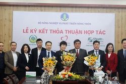 Phát triển nhiều mô hình nông nghiệp trong xây dựng nông thôn mới