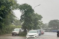 Vùng núi Bắc Bộ đón mưa lớn