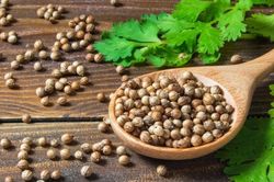 Những tác dụng bất ngờ của hạt rau mùi đối với sức khỏe