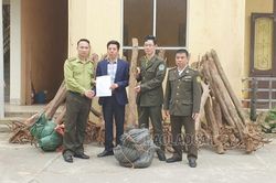 Bàn giao 39 cây Mẫu đơn rừng cho Trung tâm Cứu hộ, Bảo tồn và Phát triển sinh vật Hoàng Liên