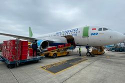 Him Lam đã cho Bamboo Airways vay 8.000 tỷ đồng