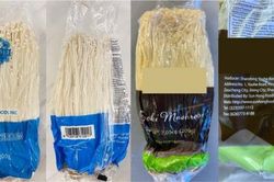 Cảnh báo: Nấm kim châm Enoki nhiễm khuẩn Listeria, người tiêu dùng cẩn trọng
