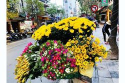Hà Nội - Những buổi sáng hoa