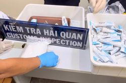 TP Hồ Chí Minh thông tin mới nhất về vụ tiếp viên hàng không vận chuyển hơn 11 kg ma túy