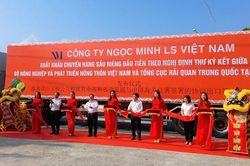 Cần Thơ xuất chính ngạch 18 tấn sầu riêng sang Trung Quốc