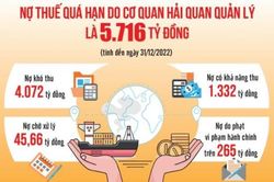 Lời giải cho bài toán quản lý nợ thuế của ngành Hải quan
