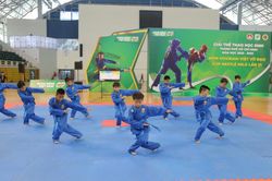 Gần 2000 VĐV tranh tài ở Giải Vovinam Việt Võ Đạo 2023