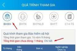 Cách xem thời gian chưa đóng BHXH, bảo hiểm thất nghiệp trên app VssID