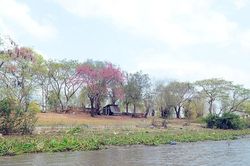 Sắc màu ô môi!