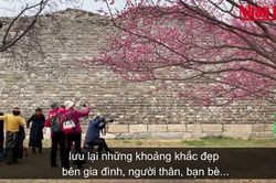 Người dân Bắc Kinh nô nức du xuân