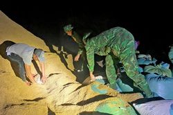 An Giang: Bắt 1 đối tượng cất giấu 1,5 tấn đường cát nhập lậu