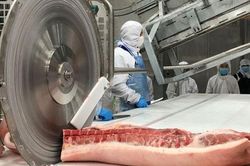 Giá heo hơi hôm nay 19/3: Giá heo hơi thấp không phải do lượng cung thừa, nhiều quốc gia cũng đang trên đà giảm mạnh