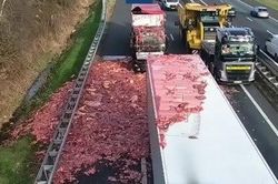 Cảnh tượng như phim kinh dị khi xe tải chở 10 tấn nội tạng gặp nạn trên đường