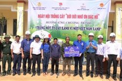 Tuổi trẻ Điện lực miền Trung và Quảng Nam hỗ trợ người dân xã Tr'Hy trồng cây kinh tế rừng