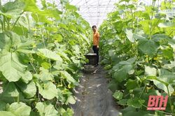 Cơ chế, chính sách khuyến khích làm động lực xây dựng nông thôn mới