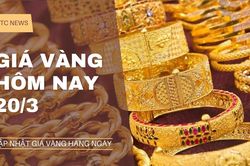Giá vàng hôm nay 20/3: Tăng hơn 3 triệu đồng trong tuần giao dịch