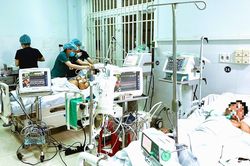 Bộ Y tế chỉ đạo tập trung mọi nguồn lực cứu chữa các bệnh nhân ngộ độc cá chép muối ủ chua