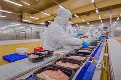 Giá heo hơi hôm nay 20/3: Giá heo hơi đi ngang, hộ chăn nuôi cần giảm đàn, tránh tâm lý giữ đàn đợi giá