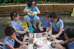 TP HCM 'khẩn' yêu cầu không tổ chức cho học sinh tiểu học đi trải nghiệm ngoài TP