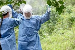 Bộ Y tế yêu cầu giám sát chặt nguồn lây nhiễm virus Marburg