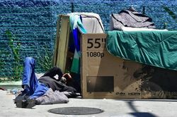 Mỹ: Bang California công bố giải quyết khủng hoảng người vô gia cư