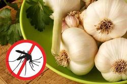 6 mẹo đuổi muỗi trong phòng điều hòa: Sử dụng nguyên liệu nhà nào cũng có