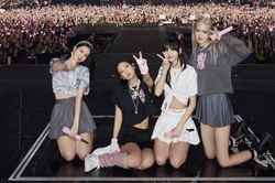 Một nữ sinh bị giam giữ vì lừa đảo vé concert BLACKPINK