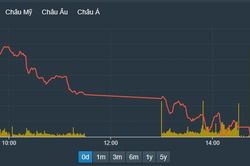 Nội ngoại cùng bán tháo, VN-Index bốc hơi 2,11%, ngưỡng 1.000 điểm gần kề
