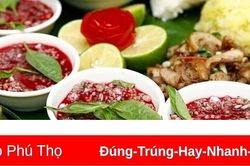 Không ăn tiết canh, sản phẩm từ lợn chưa nấu chín để phòng bệnh liên cầu lợn trên người
