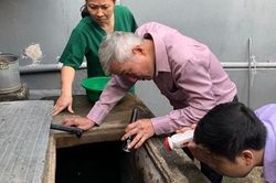 Sốt xuất huyết lại tăng, chủ động ngăn chặn dịch bùng phát