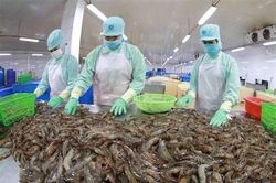 Mở rộng thị trường xuất khẩu thủy sản