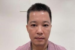 Thêm một Giám đốc bị bắt trong vụ 'chuyến bay giải cứu'