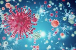 Loại virus truyền bệnh nguy hiểm có thể sống 6 giờ trên quần áo