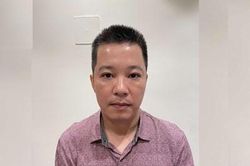 Phê chuẩn khởi tố thêm một giám đốc doanh nghiệp vụ chuyến bay 'giải cứu'