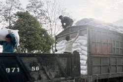 Si Ma Cai: Tiếp nhận 181 tấn gạo hỗ trợ học sinh