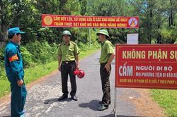 Hà Tĩnh: Chủ động triển khai nhiệm vụ PCCCR năm 2023