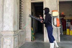 Hà Tĩnh: Nhiều người dân bị viêm da dị ứng do côn trùng đốt