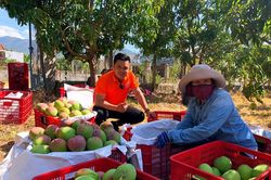 Hỗ trợ hiệu quả cho thanh niên khởi nghiệp - Bài 1: Những 'cú hích' cho khát vọng trẻ bứt phá