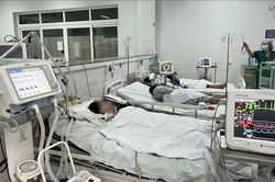 Lo ngại khan hiếm thuốc giải độc Botulinum