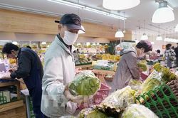 Chính phủ Nhật Bản đánh giá kinh tế phục hồi nhẹ