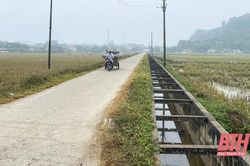 Đầu tư cơ sở hạ tầng vùng sản xuất tập trung