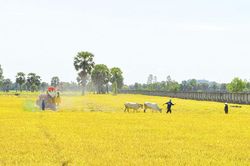 Vùng biên giới An Giang có nắng nóng đến 36oC