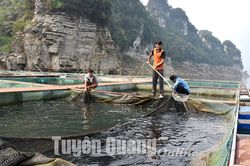 Thượng Lâm đoàn kết xây dựng nông thôn mới nâng cao