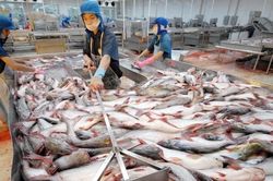 Chứng chỉ nghề quốc gia thế nào là hợp lý?